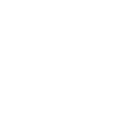 Newman CPAs PC all white vertical logo